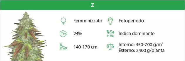 Zkittlez free seeds
