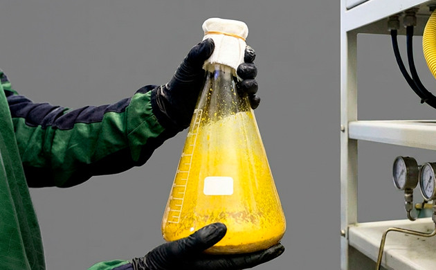 huile extraite au bho et au co2