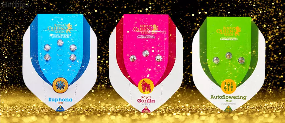 Royal Queen Seeds feminisierte Samen