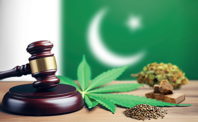 legal cannabis in pakistan