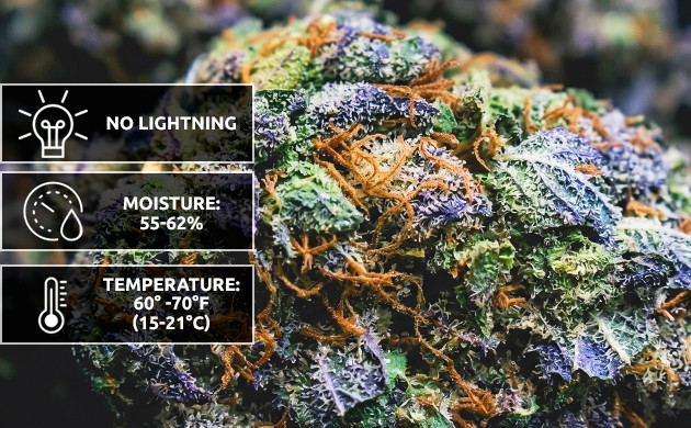how to store marijuana