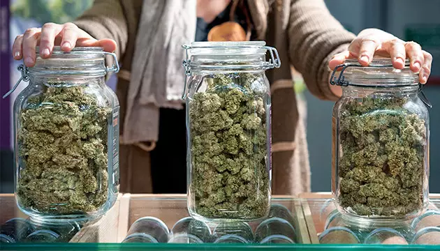 schwag weed
