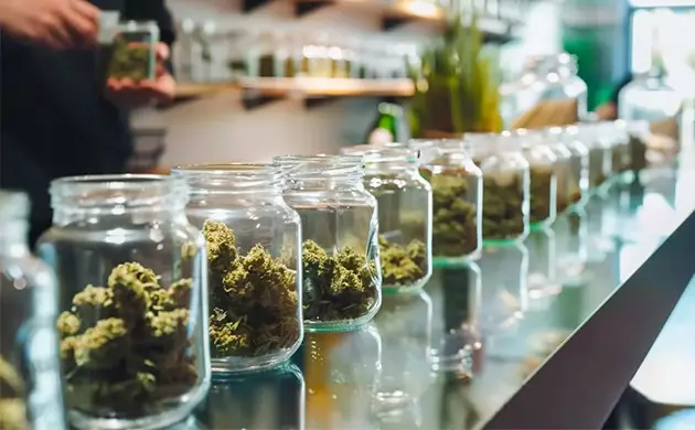 a quick guide to dispensary weed