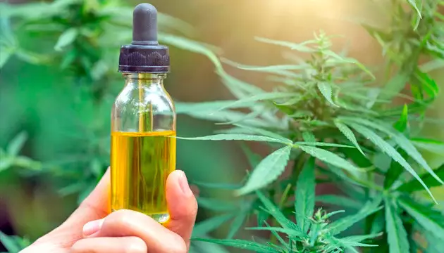 El aceite de neem es un pesticida eficaz y seguro Usa pesticidas orgánicos