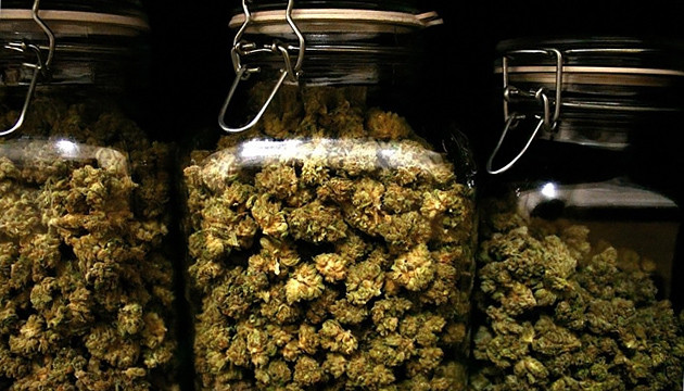 Weed Jars: How to Pick the Perfect Jar for Your Bud