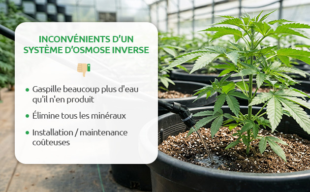 Les inconvénients de l’eau osmosée pour la weed les inconvénients de l’eau osmosée pour la weed