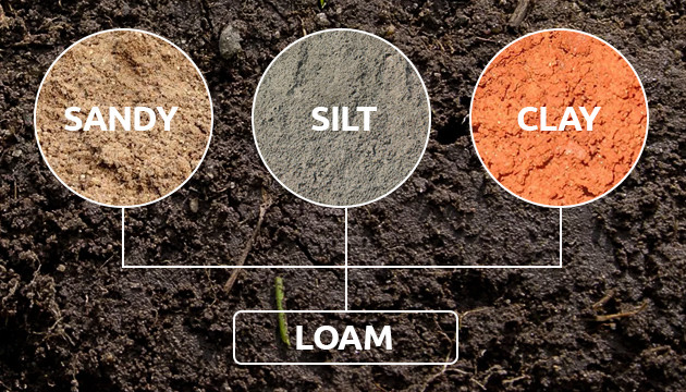 melhor solo para o cultivo de ervas daninhas dentro de casa