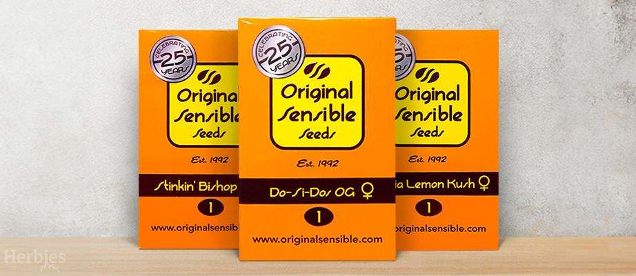 Original Sensible Seeds buy seeds