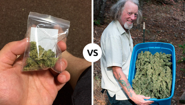 how much does it cost to grow marijuana