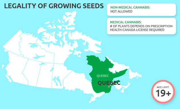 buy marijuana seeds in quebec city
