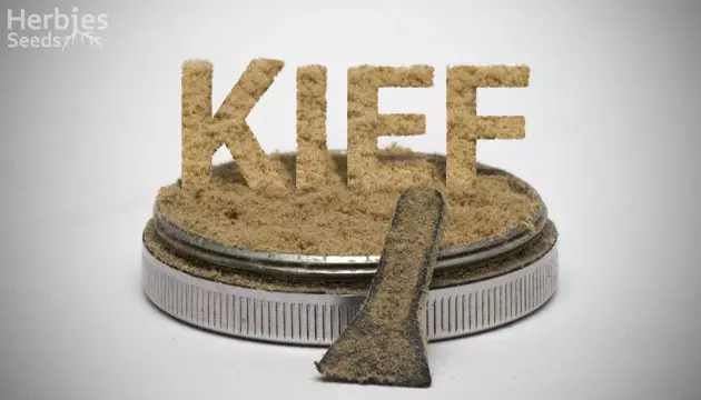  kifi