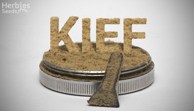 kief weed