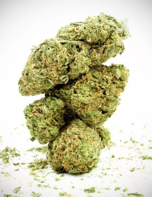 Erba di alta qualità brown weed