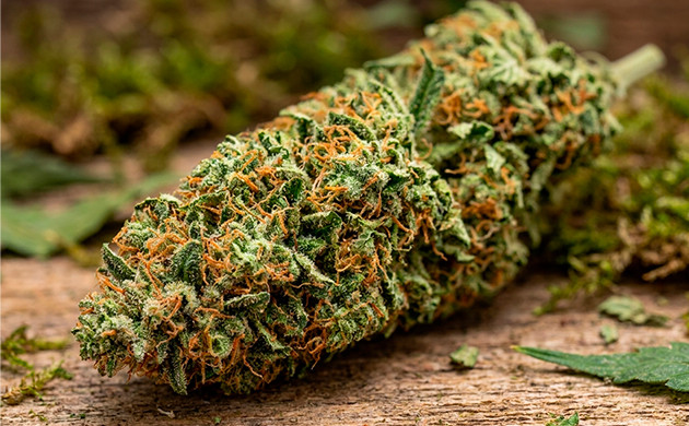 High grade weed higher grade weed