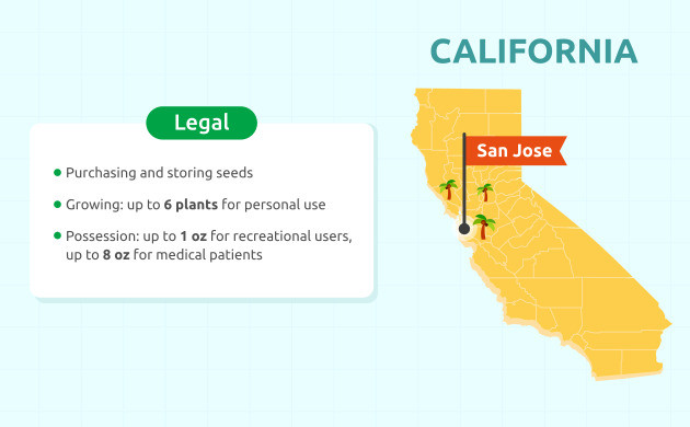 legal status in san jose