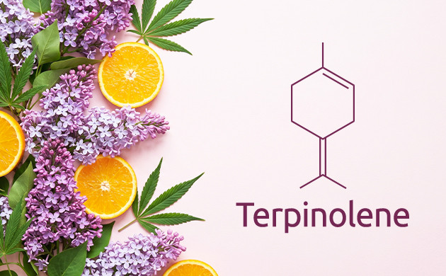 terpinolene