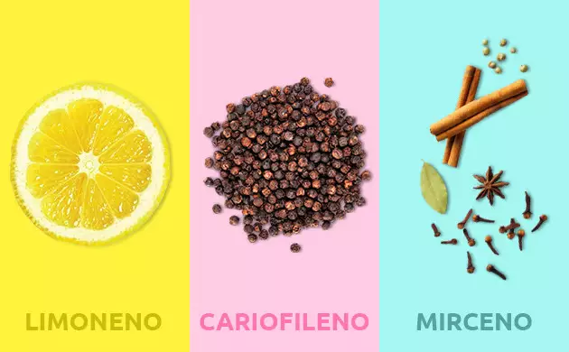 Las cepas de cannabis que son especialmente eficaces para relajarte huelen a limón (limoneno), pimienta (cariofileno) y especias (mirceno).