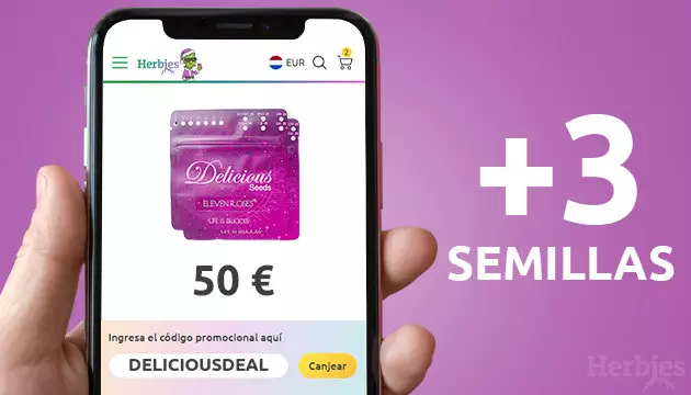 nueva oferta deliciosa
