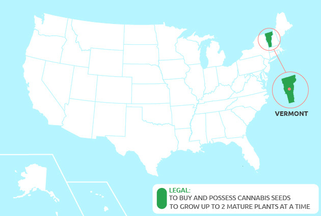 cannabis seeds in Vermont