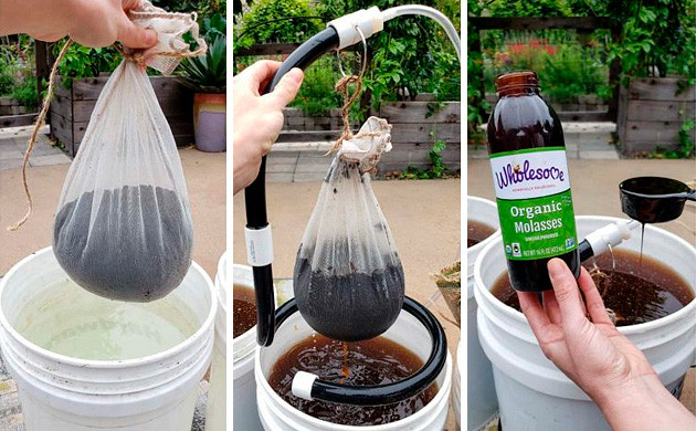 how to make compost tea