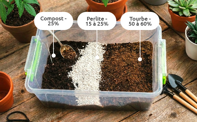 comment créer votre propre sol vivant