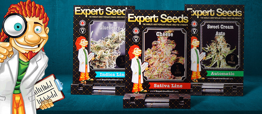 Graines fem Expert Seeds