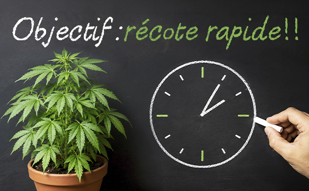 vous etes presse