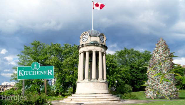 cannabis seeds for sale in kitchener