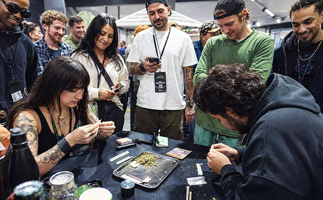 when to top cannabis