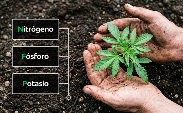 Fertilizante de malezas
