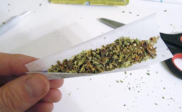 Carefully put the weed in no filter joint