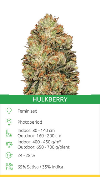 Hulkberry