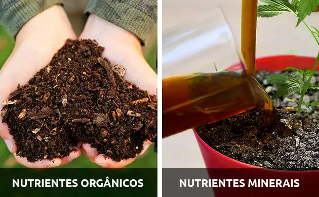nutrientes para cannabis