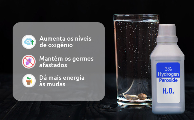 por que voce deve usar peroxido de hidrogenio durante a germinacao