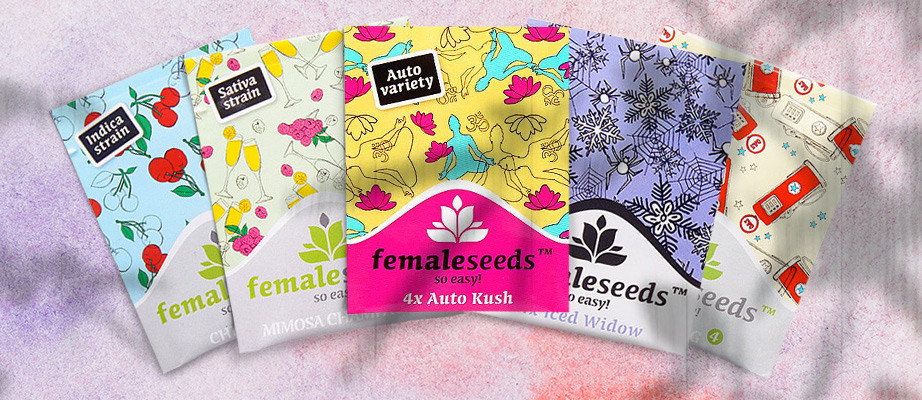 Female Seeds Cannabis-Samen