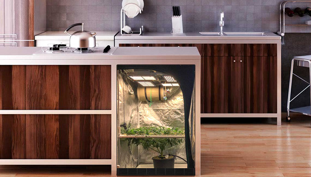 cheap stealth grow box