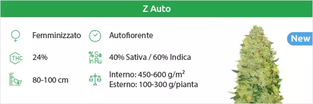 Zkittlez auto free seeds