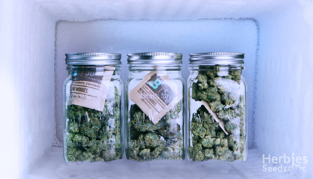 best way to store weed