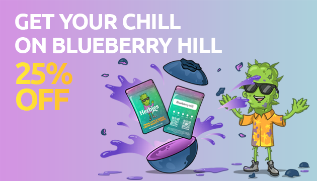 herbies summer special get 25 off blueberry hill