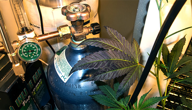 erba co2