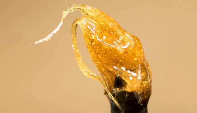 different weed concentrates