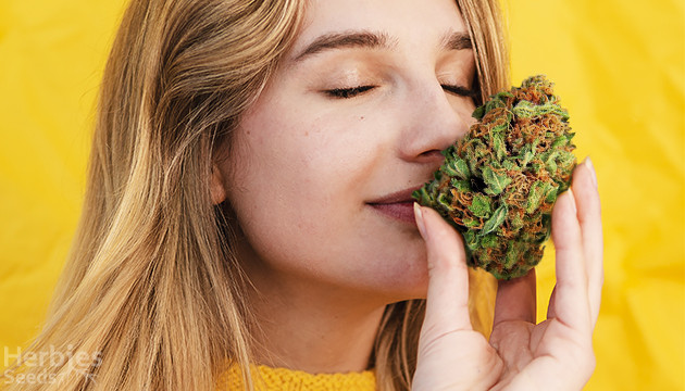 best smelling weed strains