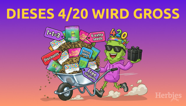 Dieses 4/20 wird groß: Mehr Extras, mehr gute Gründe, ordentlich aufzustocken dieses 4/20 wird groß