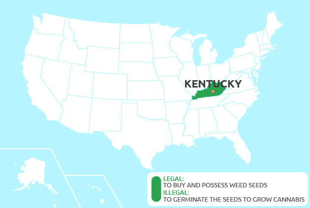 marijuana seeds in Kentucky