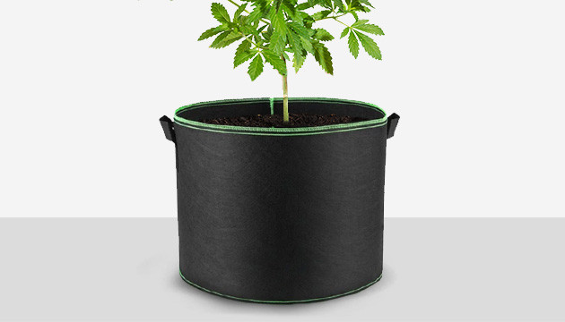 Come Scegliere Vasi per Piante Indoor e Outdoor - Grow Shop Italia