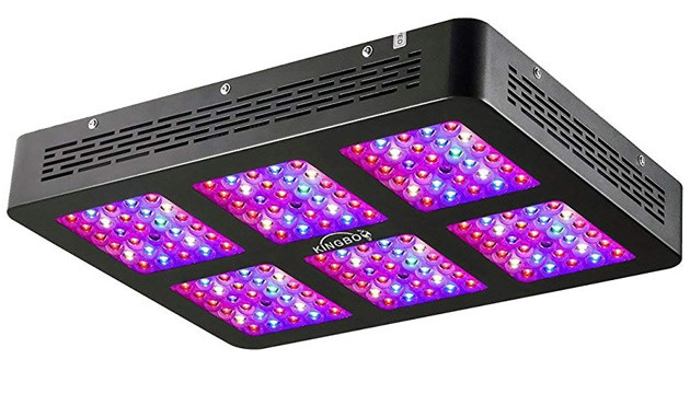 KINGBO LED a doppia lente ottica serie 900W