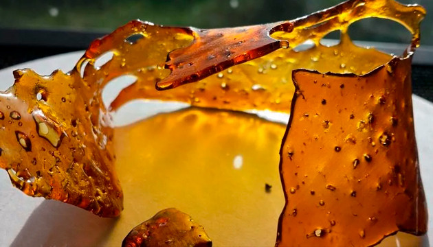 cannibis shatter