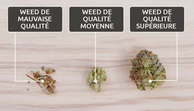 De quoi dépend la qualité de la weed ?