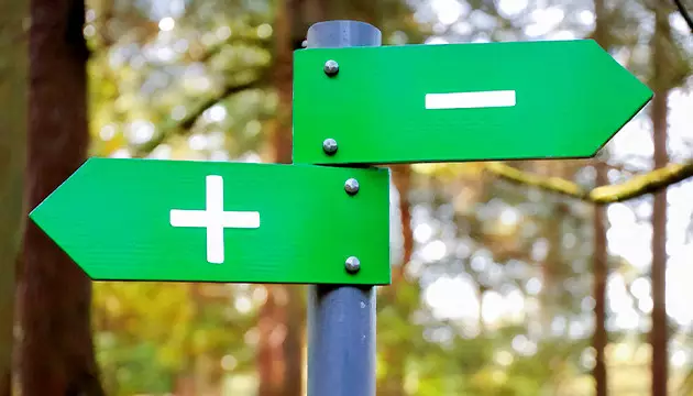 how to grow weed in the woods