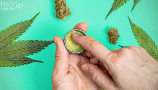 the benefits of cannabis topicals